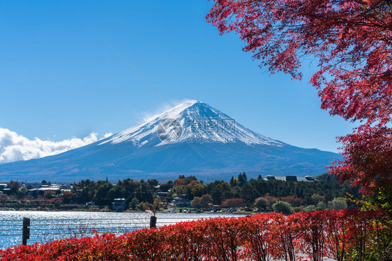 日本富士山湖边旁景色图片