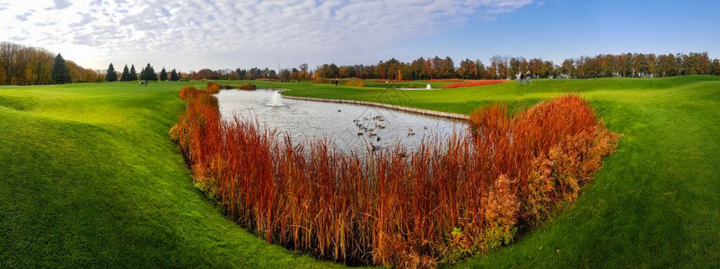 秋天公园里静谧的池塘和绿色的草地全景图图片