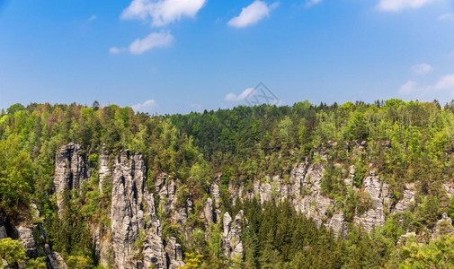 大自然岩石森林景观图片