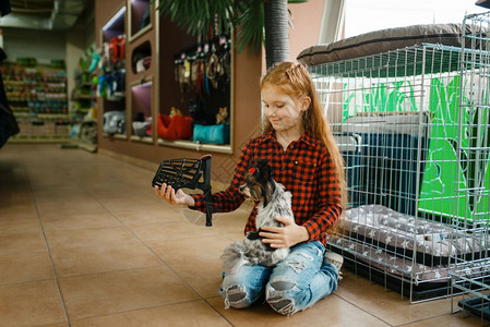 儿童在宠物店购买设备家畜的配件图片