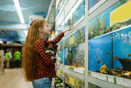 在水族馆宠物店儿童在购买设备寻找鱼类图片