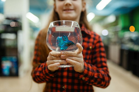 小女孩在宠物店里抱着玻璃装着的蓝色鱼图片