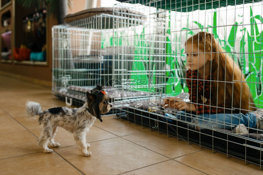 儿童在宠物店女孩在大笼子里