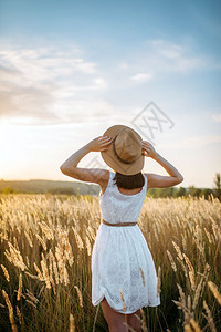 夏季日落时在小麦田中行走的美女图片