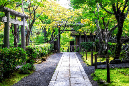 日本公园宁静的景象高清图片