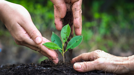 人们种植树苗和环境保护概念图片