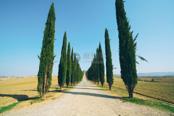 意大利乡村沿路的风景图片