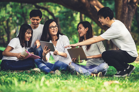 大学生们坐在草地上使用电脑学习图片