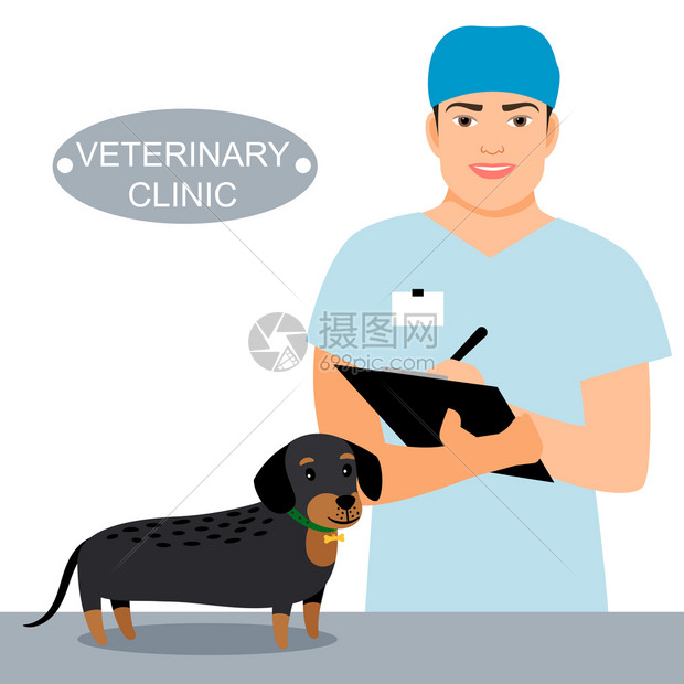 兽医和狗在诊所图片