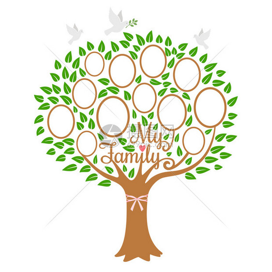 家庭树有相片位置的族系树分支社区矢量说明树图片