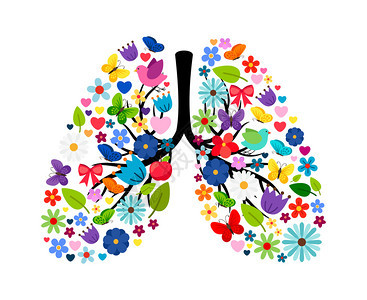 蝴蝶和春天花朵以人类肺的形式图片