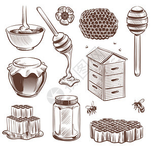 蜂蜜花粉和蜂蜜矢量元素图片