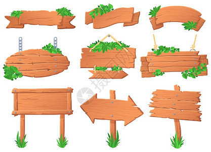 卡通绿色森林树木板上的热带叶绿色标签志和丛林森指示板矢量集成收