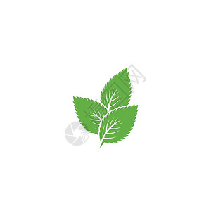 薄荷健康 logo图片