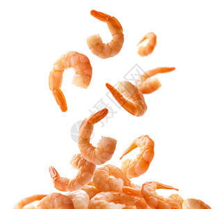 煮熟的虾子在白色背景上悬浮图片