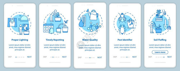 安装在移动应用程序页面屏幕上的植物与概念光模式草药种植通过五步图形指示ui矢量模板配有rgb颜色插图图片