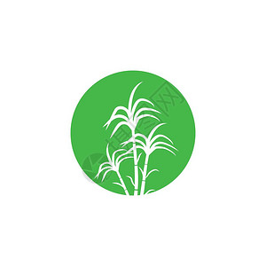 甘蔗lin插画