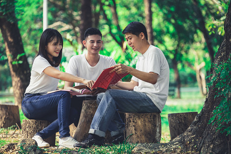 大学生们坐在公园木凳上学习交流图片