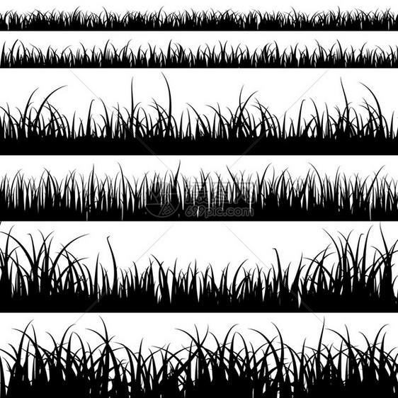 草根浅色全黑植物如平原上的新鲜甘蔗或杂草平原上的全色黑植物和草地上杂以及地的横向露天矢量草根浅色植物全黑以及草地景观矢量的全色黑图片