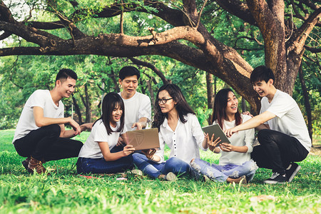 大学生们在草地上学习探讨图片