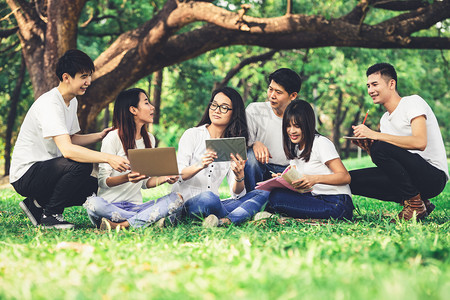 大学生们在草地上学习探讨背景图片