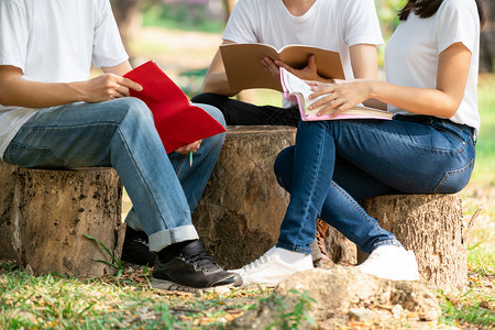 学生们在公园阅读学习图片