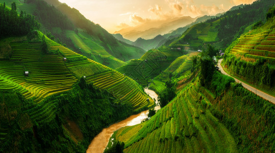 在vietnam的Sp附近有梯田的稻景观Mucanghi水稻梯田横跨山边层一无穷尽约有20公顷的梯田图片