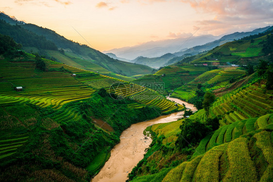 在vietnam的sp附近有梯田的稻景观mucanghi稻田横跨山坡层无穷尽约有20公顷稻田梯其中50公顷是3个乡镇的梯田如大棕图片