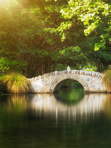 夏天桥下的池塘风景图片