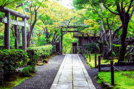 日本和平公园景色图片
