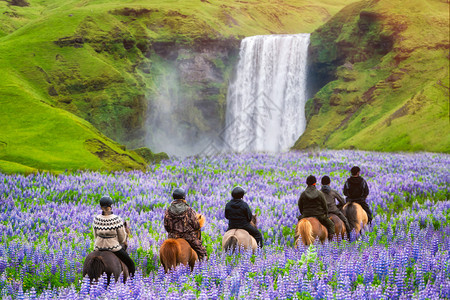 夏季观光客在冰原郊区的山瀑布上骑着马图片