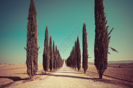 意大利沿路的风景图片