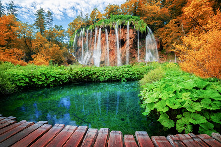 美丽森林瀑布湖泊和瀑布景观背景
