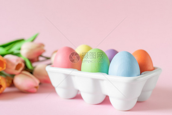 粉红色背景的郁金香和彩色鸡蛋装饰品图片