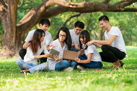 在校园草地上学习的大学生们图片