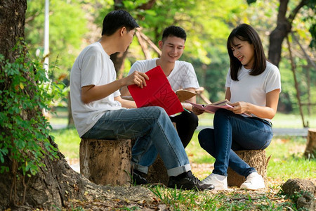 在公园学习交流的学生们图片