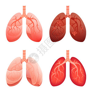 肺部图标集用于网络设计的肺矢量图标卡通集肺部图标卡通风格图片