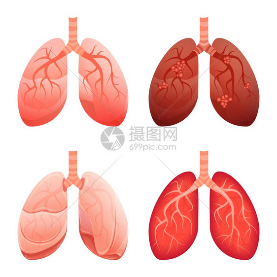肺部图标集用于网络设计的肺矢量图标卡通集肺部图标卡通风格图片