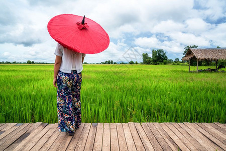 女旅行者在亚洲稻田中旅行春节时背包休假图片