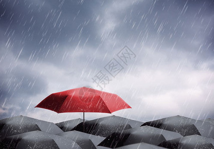 暴雨和风下有黑色的伞和红背景图片