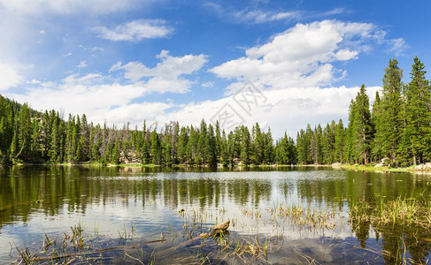 绿林环湖的美景图片