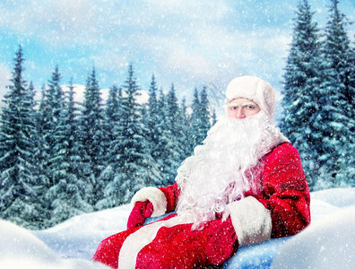 雪松林身着红色服装的圣诞老人图片