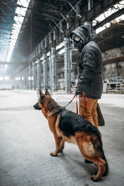 犬类动物驯养员图片