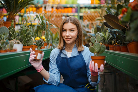 围裙上的妇女出售花店卉栽培的鲜女卖方喷洒植物园艺店图片