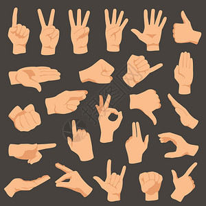 手动势矢量演示一组手势收集指点和确定握按语言计数或引导手势设置臂图片