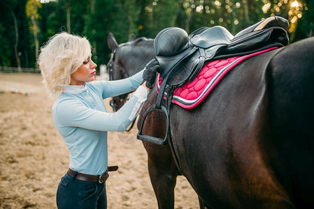 女骑手准备马鞍骑马马术运动年轻女子和美丽的种马农场动物准备马鞍的女骑手背景图片