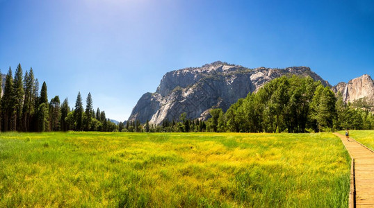 Yousemit公园Californaus绿草地和松树环绕着岩石山脉图片