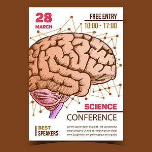 医学科会议推广海报矢量人体器官大脑用于医学解剖教育或会议智力记忆和思想机体设计为反向风格彩色图解医学科会议推广海报矢量图片