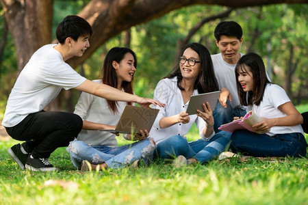 一群大学生放学愉快的在一起学习讨论图片素材