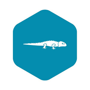 两栖爬行动物以简单样式的孤立矢量图解蜥蜴标爬行动物符号蜥蜴图标